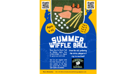 FREE Summer Wiffle Ball